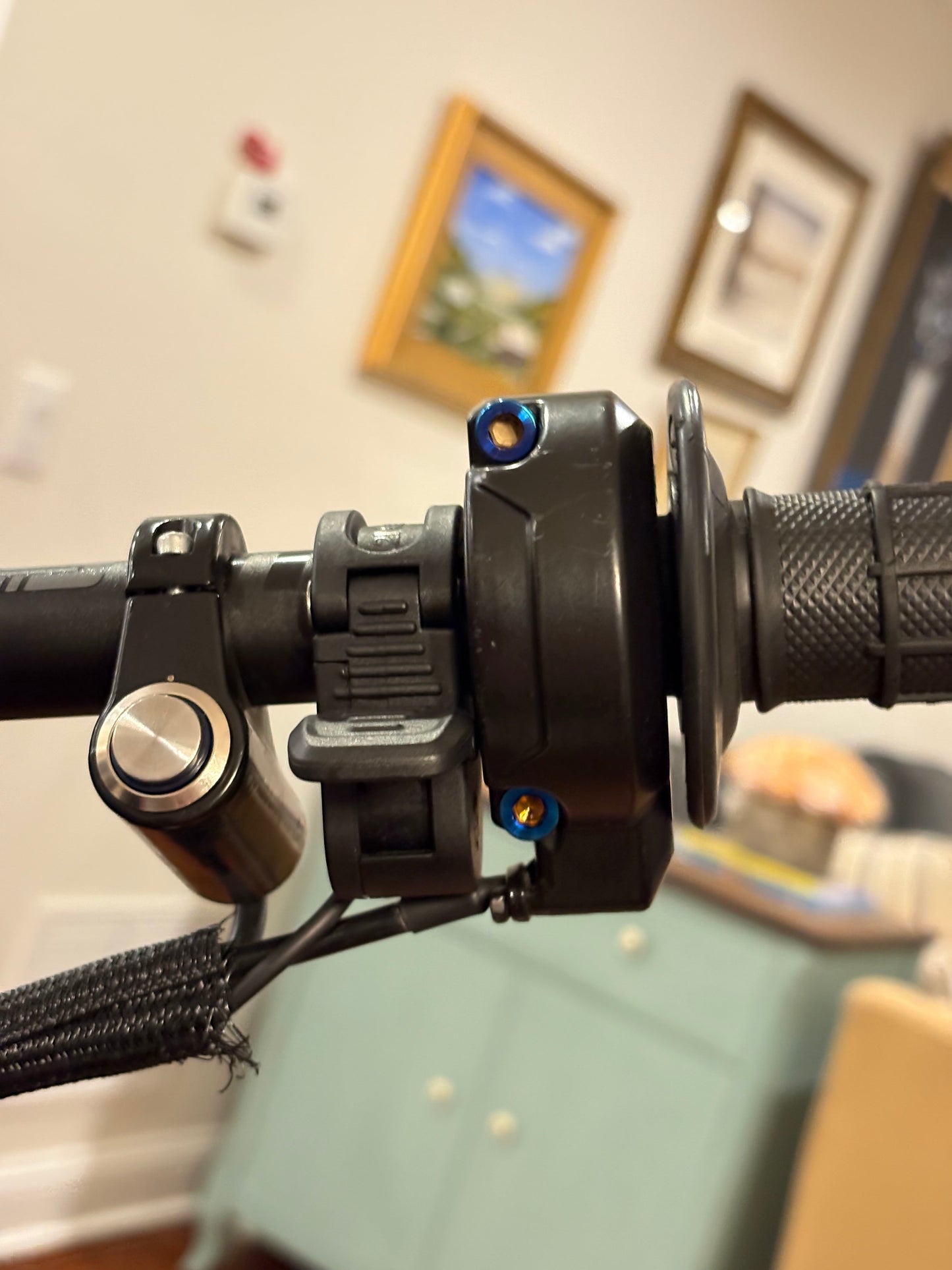 All Emoto Throttle Titanium Bolts (set of 2)